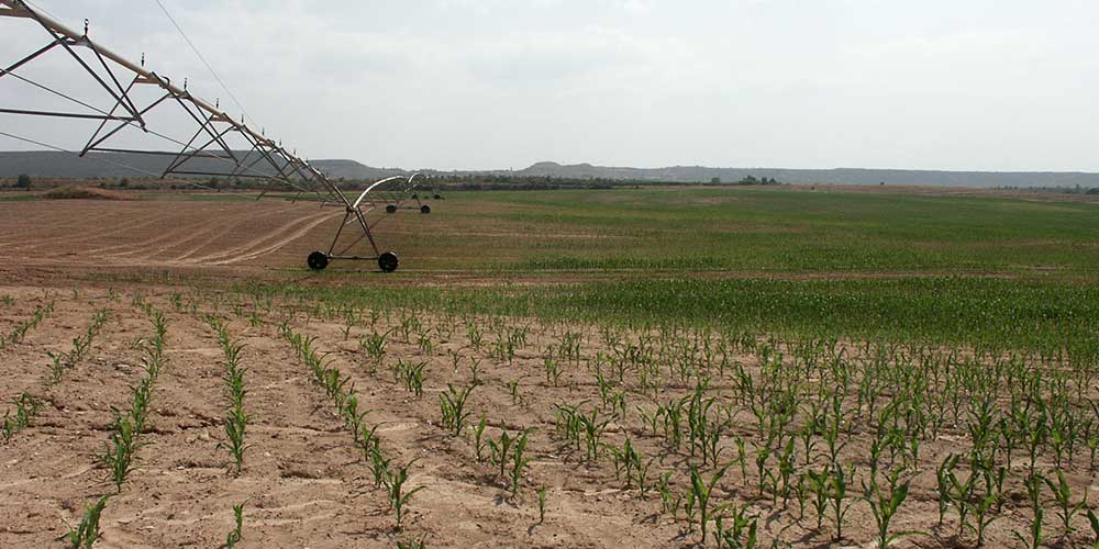 fincas-general-olis fincas-general-olis