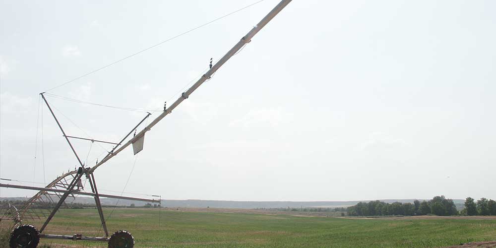 fincas-generalolis fincas-generalolis